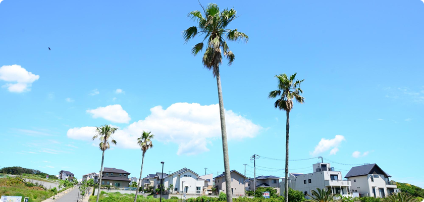 葉山・横須賀西地区